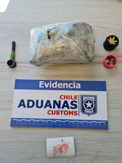 Aduana de Puerto Montt decomisó 175 dosis de marihuana en Chaitén
