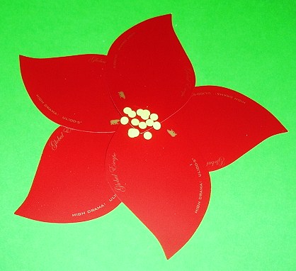  Flower Picture on Learning Ideas   Grades K 8  Making A Poinsettia Craft Activity