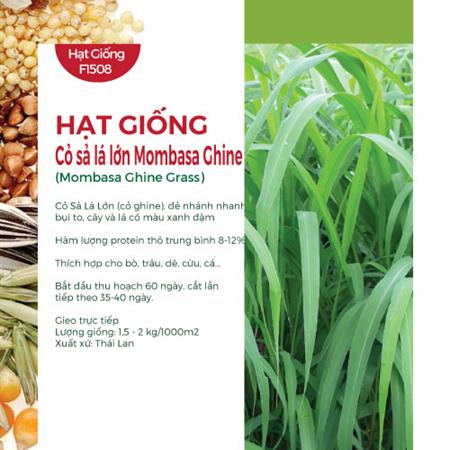Hạt giống cỏ sả lá lớn Mombasa Ghine - Gói 1Kg