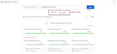 Cara Mengecek Kecepatan Sebuah Website (Page Speed) di Google