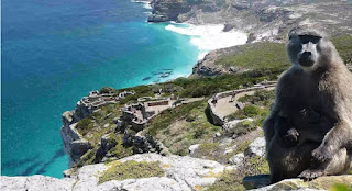 Cape Point