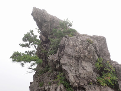 医王山 鳶岩 ガスの中