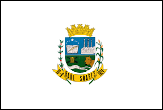 Bandeira de Raul Soares MG