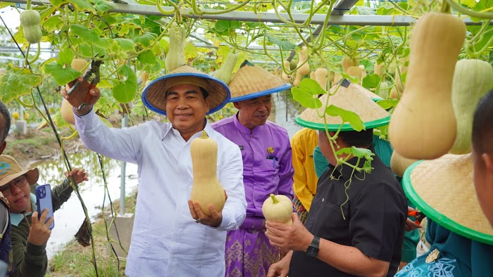 Bupati Rohil Bersama Wagubri Panen Buah-buahan di Taman Edukasi Dinas Pertanian Rohil