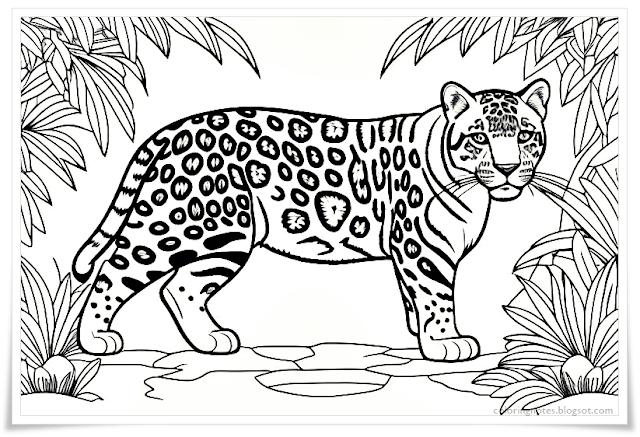 Jaguar Coloring Pages, Jaguar Cub, Jaguar Animal, Baby Jaguar, Coloring, Sheet, Printable, Free