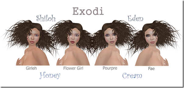 Exodi