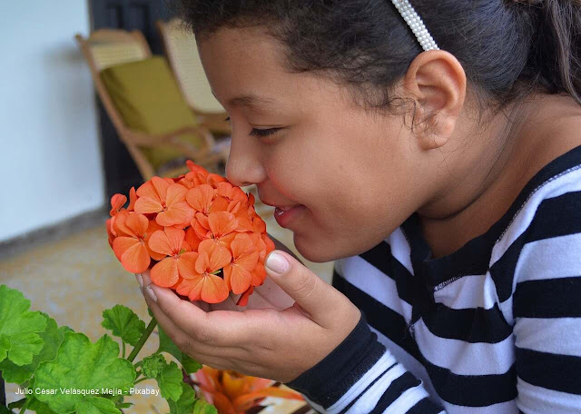 Menina cheirando uma flor.