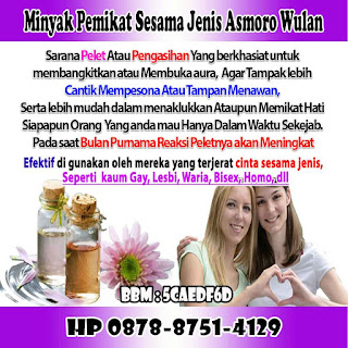 Pelet Sesama Jenis Asmoro Wulan