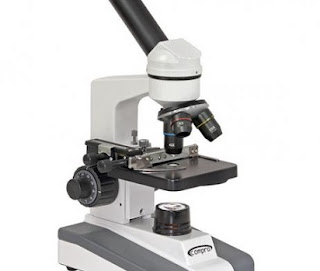 cara menggunakan mikroskop cahaya,cara menggunakan mikroskop dengan benar,mikroskop listrik,binokuler,cahaya listrik,beserta gambarnya,cara penjagaan mikroskop,mikroskop elektron,