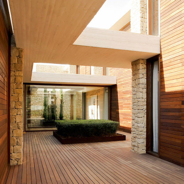 Vegetation on the wooden floor