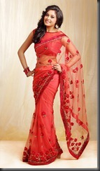 actress_arundhati_hot_in saree