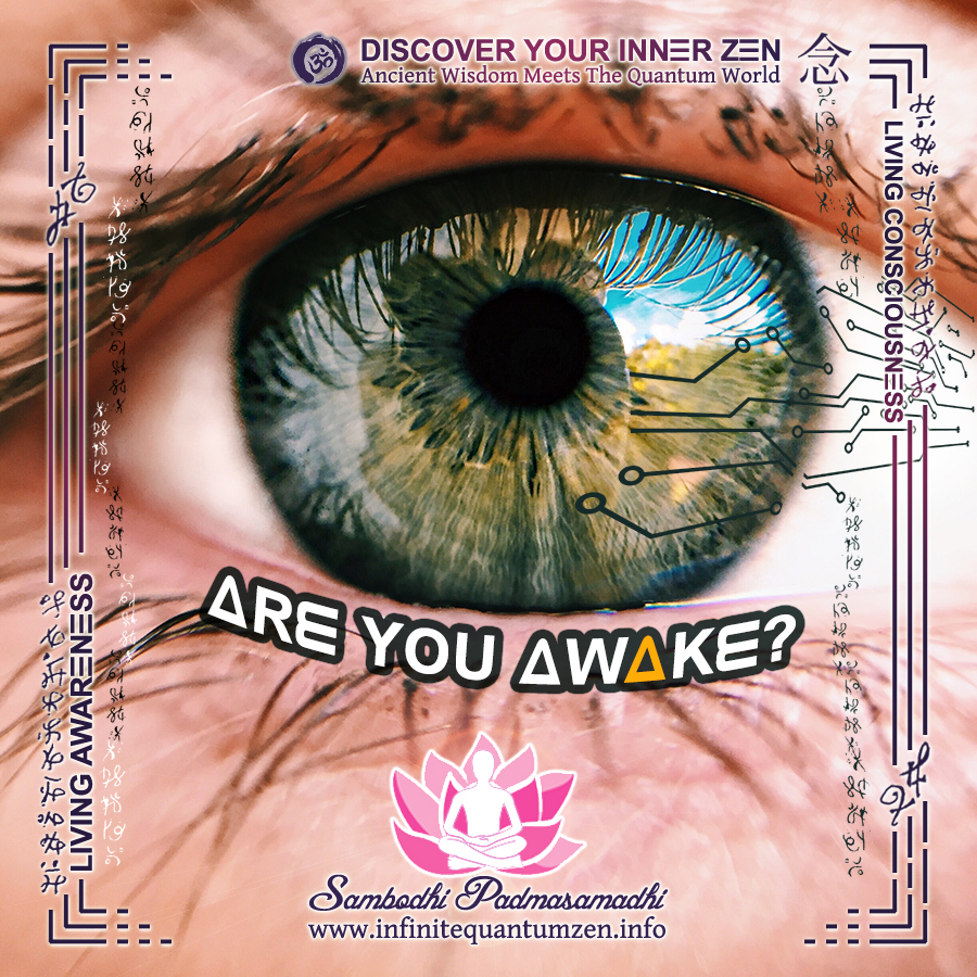 Are You Awake (Beautiful Green Eyes) - Infinite Quantum Zen, Success Life Quotes