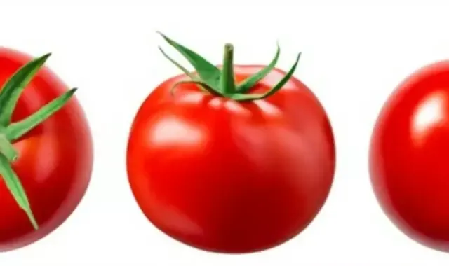 tomatoes