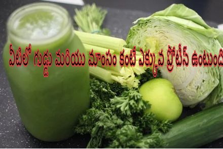 protein food then egg and meat, high protein foods in veg, protein rich food in veg, high protein vegetarian foods, foods with more protein then an egg, high protein foods than egg and meat, telusukundam randi, telugulo, health and beauty tips, health tips telugu, best health tips in telugu, health tips in telugu, high protein foods list, protein replacement for meat, high protein foods than eggs and meat telugu, protein foods list in telugu, protein foods in veg, simple health tips telugu, simple health tips in telugu, telugu health tips, health tips in telugu