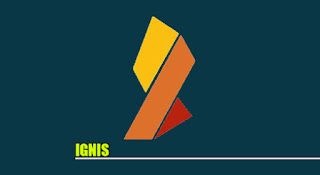 IGNIS, IGNIS coin