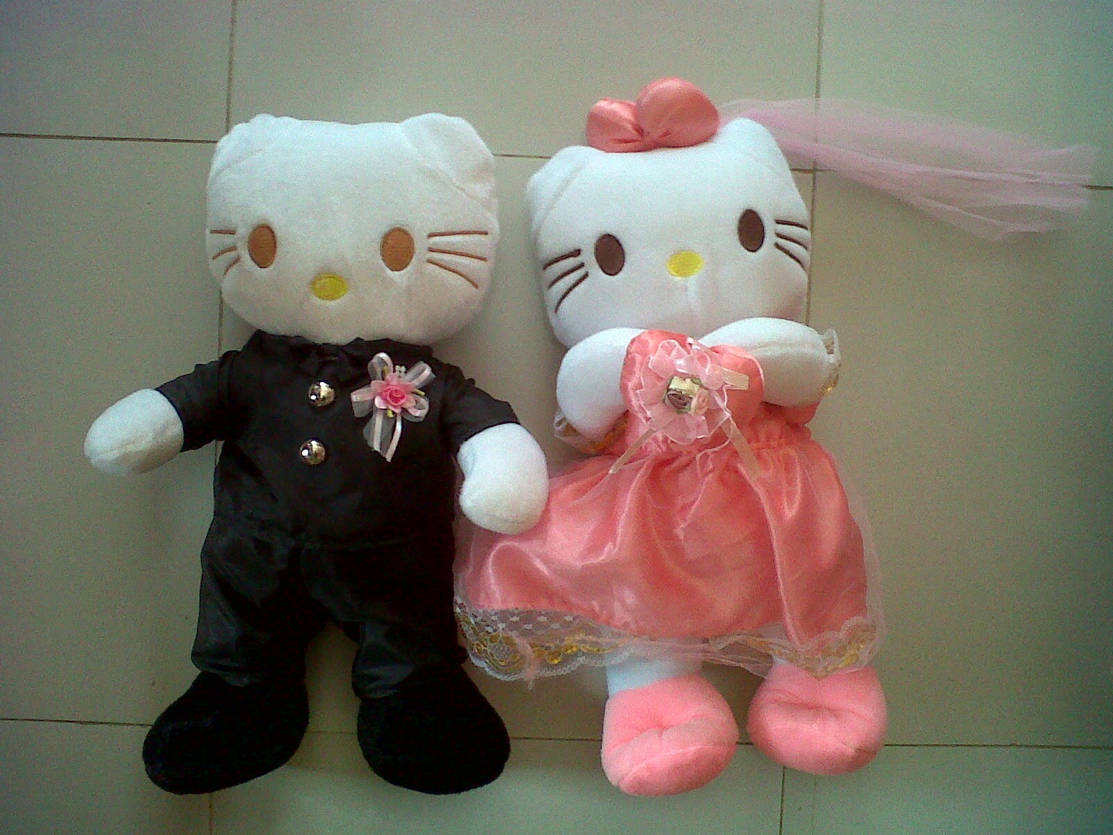 Koleksi Gambar Lucu Boneka Hello Kitty Berpasangan Terbaru Untuk Anak