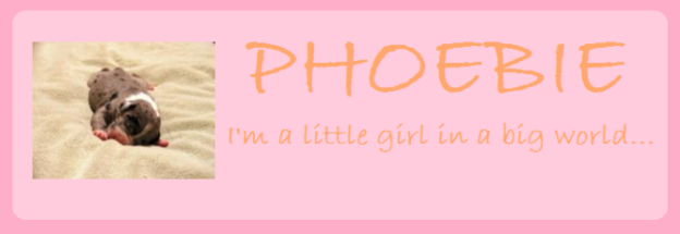 Phoebie's Blog