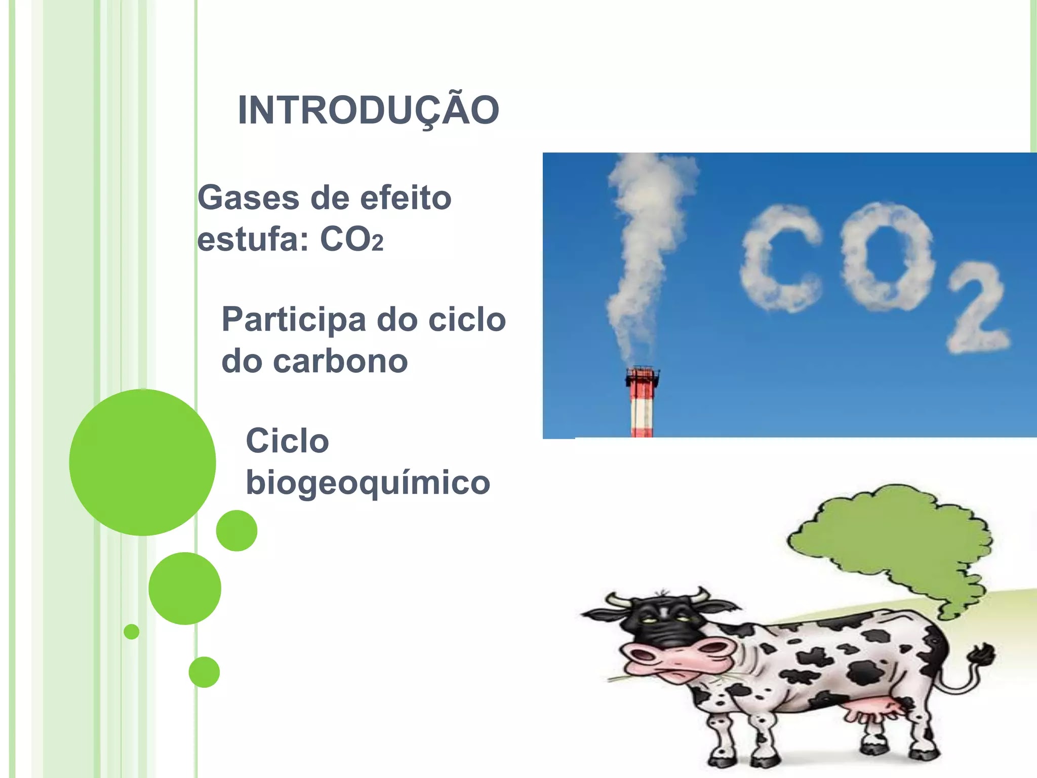 CICLO DO CARBONO E MUDANÇAS CLIMÁTICAS