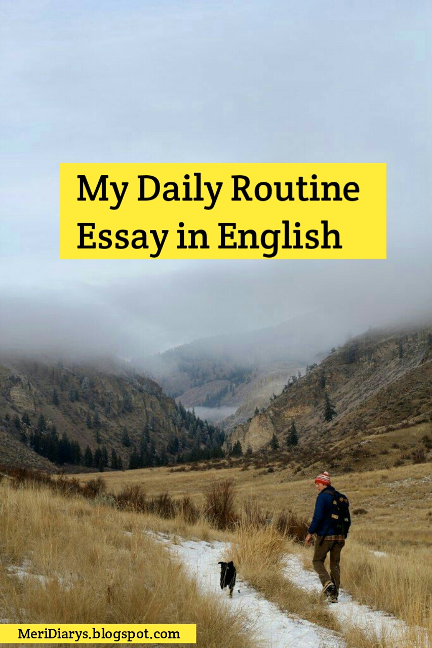 My Daily Routine Essay in English