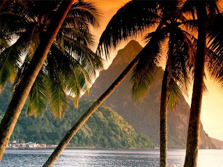 Tropical Island Of Fiji 