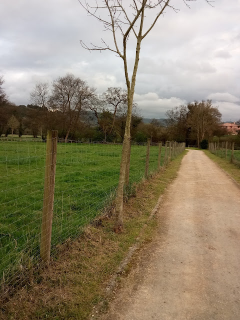 camino de Aliseda pantanosa