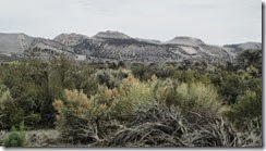 IMG_0919