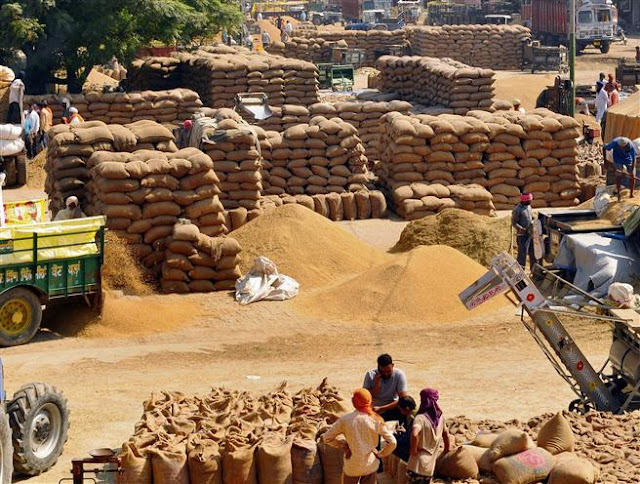 During Kharif  2024-25, around 172 LMT paddy procured from farmers in Punjab of which 169 LMT lifted