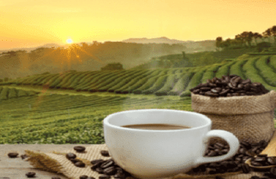  Puisi  Hujan  Dan Kopi  Di Senja Terakhir