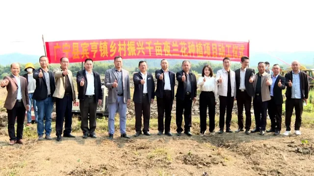 The thousand-mu night orchid planting project in Binheng Town, Guangning County, Guangdong Province starts with a sprint