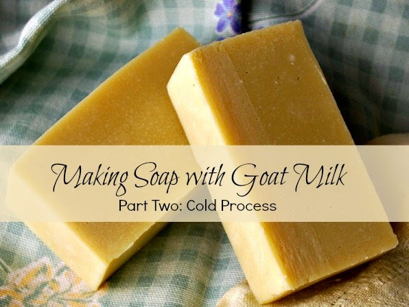 Making Soap with Goat Milk: Cold Process