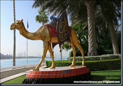 Hotel Burj Al Arab - II (18)