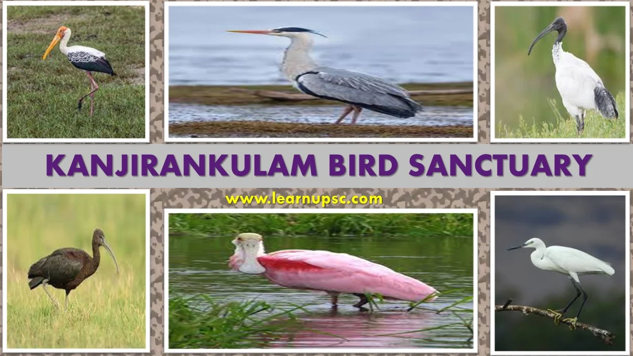 Kanjirankulam Bird Sanctuary