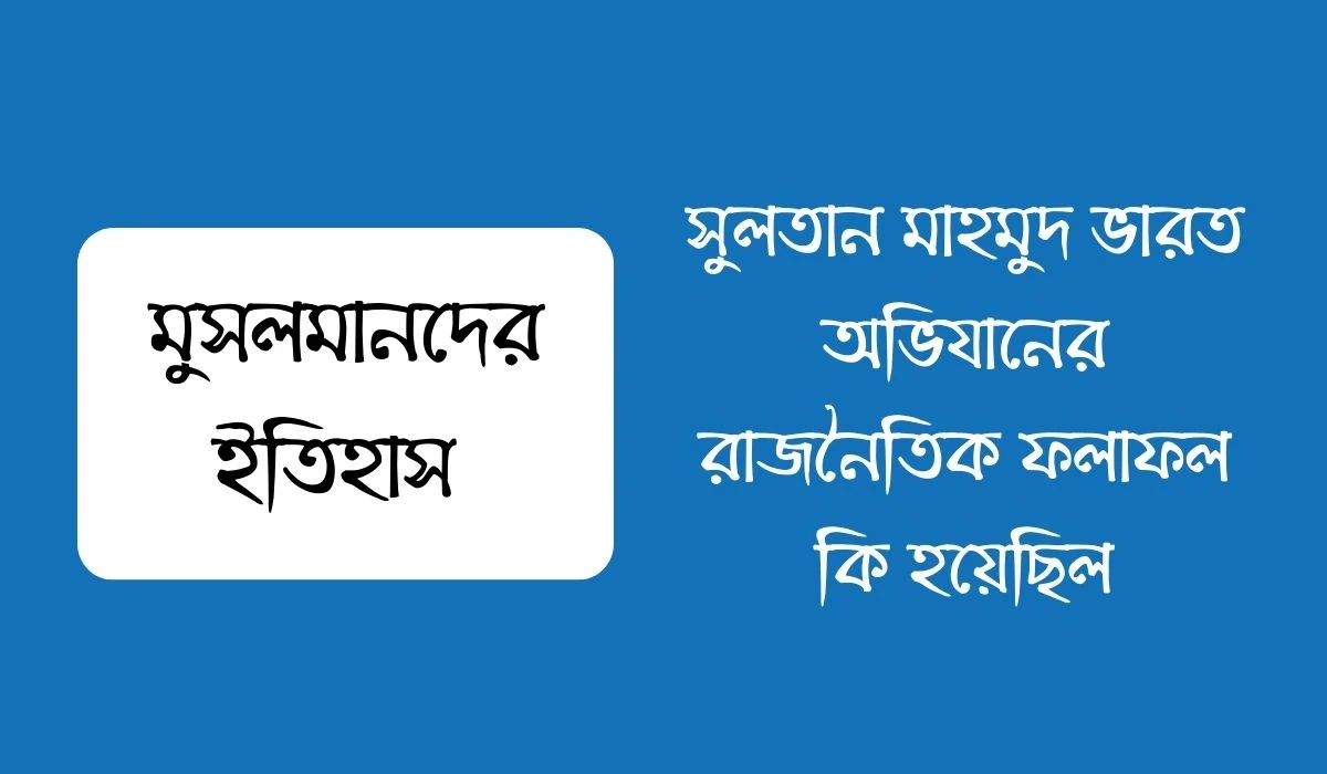 সুলতান মাহমুদ ভারত অভিযানের রাজনৈতিক ফলাফল কি হয়েছিল