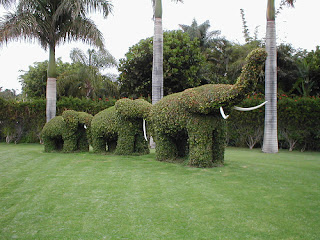 Pagar Tanaman Berbentuk Gajah / hedge