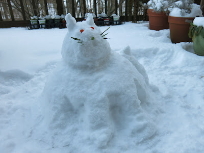 雪貓兒