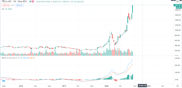 TESLA stock bubble