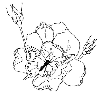 flowers-coloring-pages