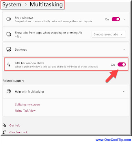 Windows 11 Title Bar Shake Setting