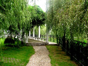 IMG_2973