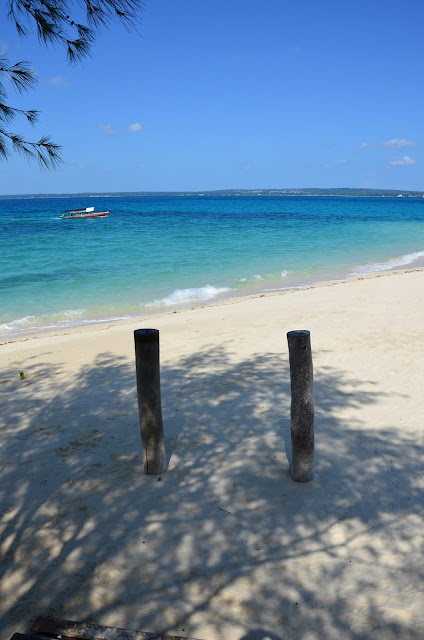 Zanzibar - Prison Island (Changuu) 