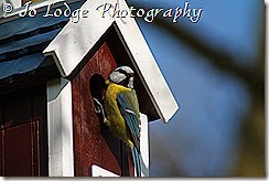 IMG_9725