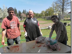 butchering 14