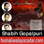 http://www.humaliwalayazadar.com/2016/06/shabih-gopalpuri-nohay-2015-to-2017.html