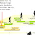 Timeline Of Human Evolution - Pre Human Species
