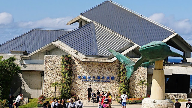 沖縄 美ら海水族館