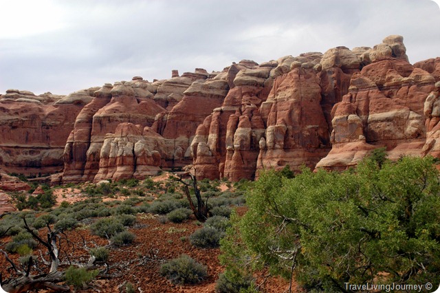 CanyonlandsNeedles_2569