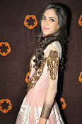 Kanika Kapoor glamorous photos-thumbnail-17