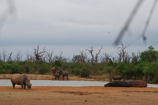 Swaziland16