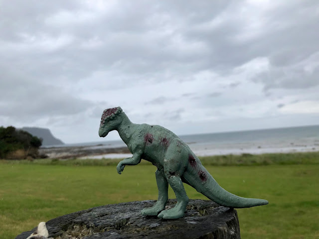 Fossil Bluff Tasmania