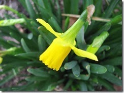 IMG_0017
